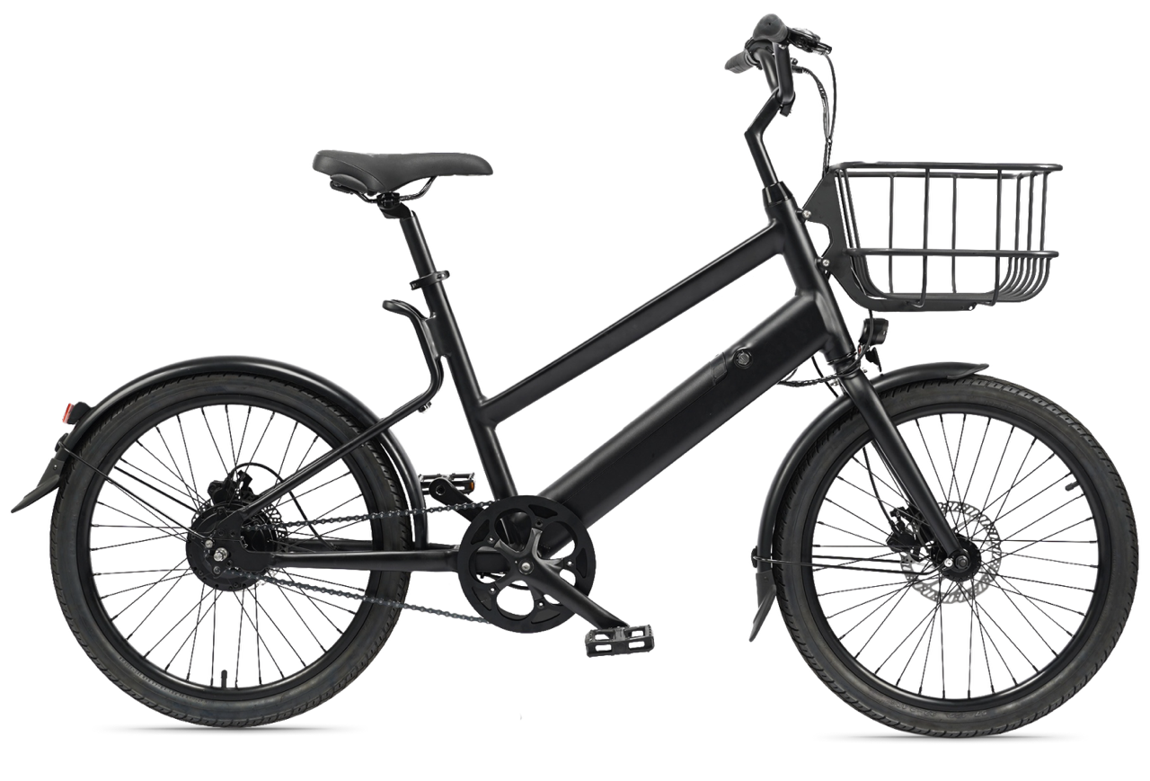 Do you prefer an electric bike?